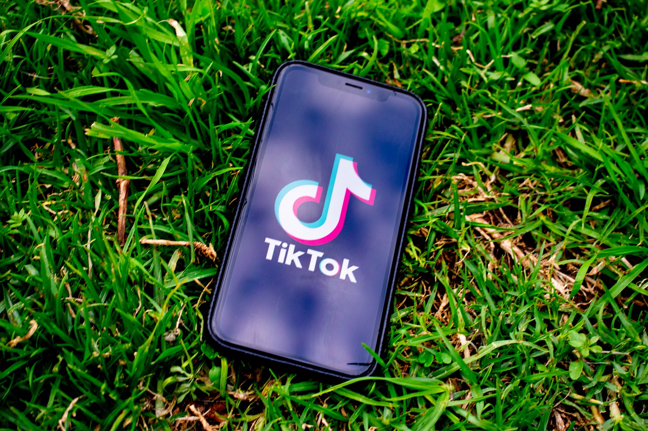 Tiktok Username Search